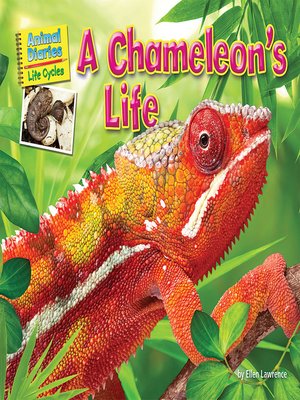 cover image of A Chameleon's Life